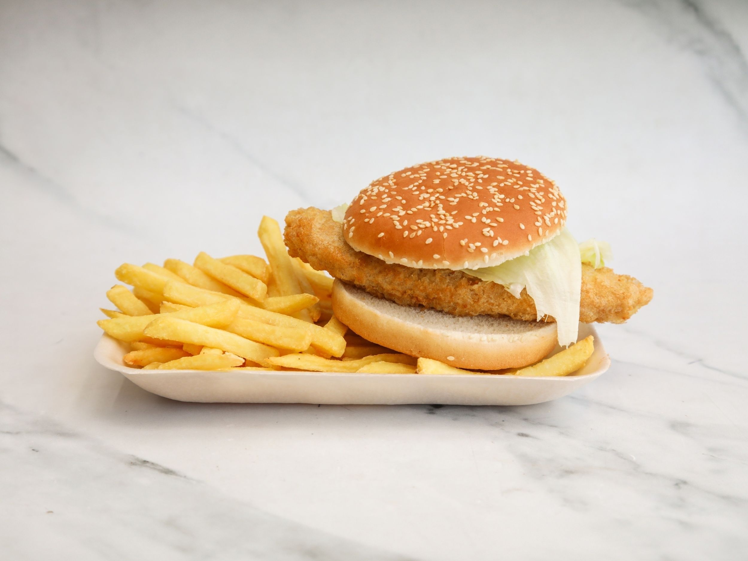 FISH BURGER with Fries