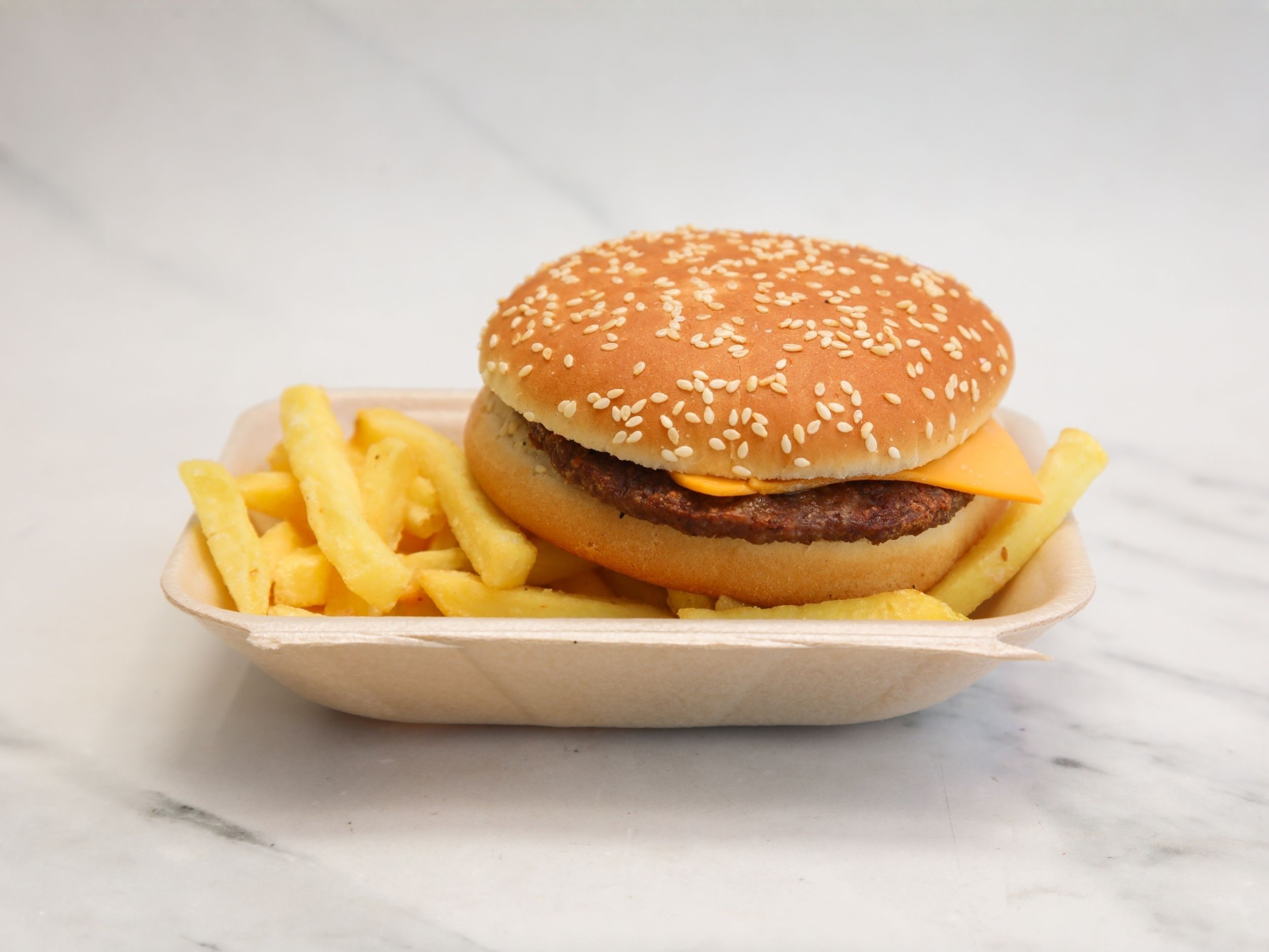 Cheese Burger with Fries