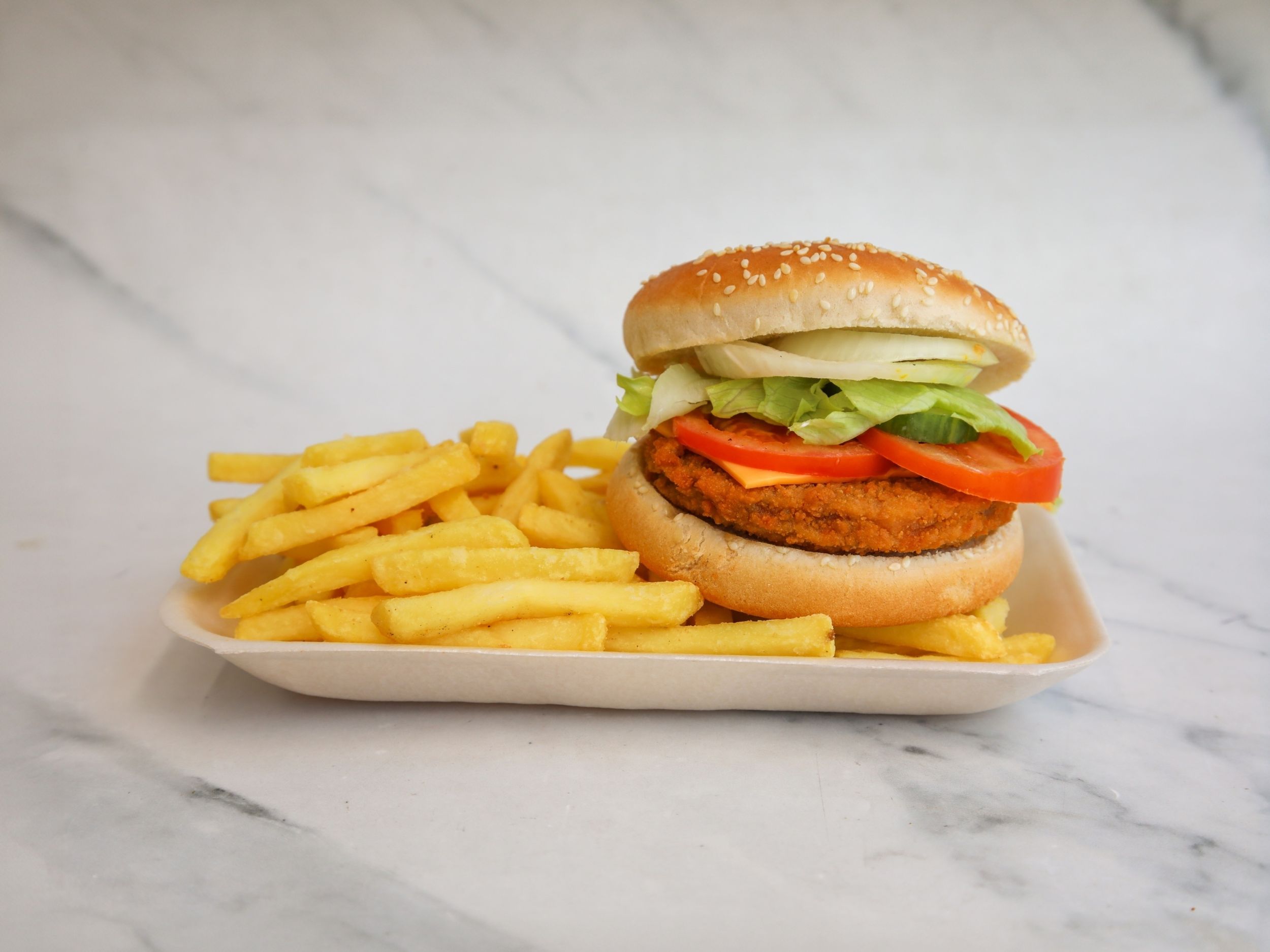 SOYA BURGER with Fries